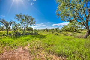 505 Sand Ln (46)