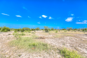 11935 Little Sorrel Trail (55)