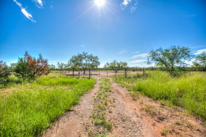 505 Sand Ln (47)