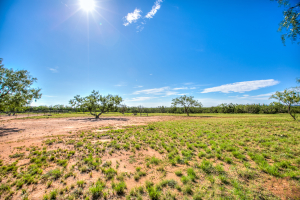 505 Sand Ln (48)