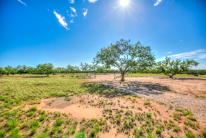 505 Sand Ln (49)