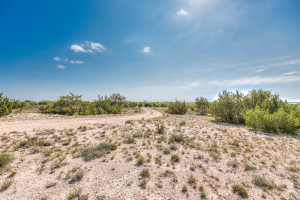 11935 Little Sorrel Trail (56)