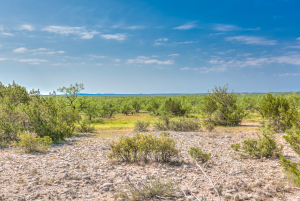 11935 Little Sorrel Trail (57)