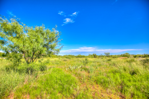 505 Sand Ln (51)