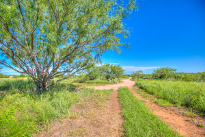 505 Sand Ln (52)