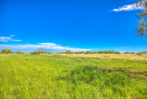 505 Sand Ln (62)