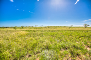 505 Sand Ln (71)