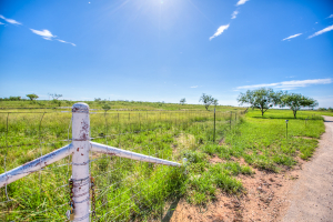 505 Sand Ln (75)