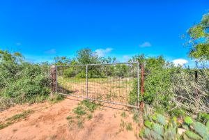 Friendship Rd (39)