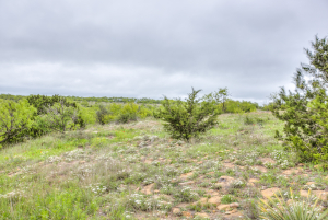 Hwy 36 (25)
