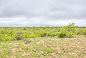 Hwy 36 (26)