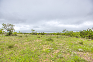 Hwy 36 (27)