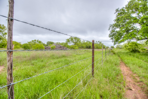 Hwy 36 (36)