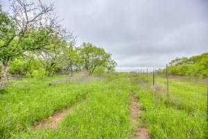 Hwy 36 (37)