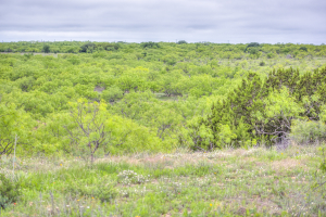 Hwy 36 (46)