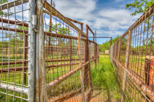 4124 E Hwy 158 (64)