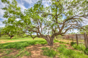 4124 E Hwy 158 (70)