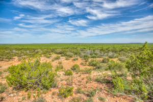 4124 E Hwy 158 (73)