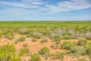 4124 E Hwy 158 (74)