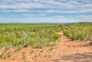 4124 E Hwy 158 (75)