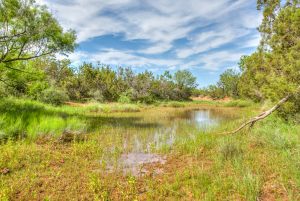 4124 E Hwy 158 (76)