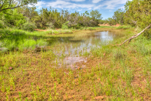 4124 E Hwy 158 (77)