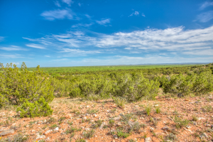 4124 E Hwy 158 (11)