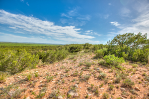 4124 E Hwy 158 (12)