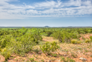 4124 E Hwy 158 (14)