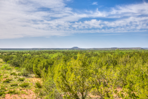 4124 E Hwy 158 (17)