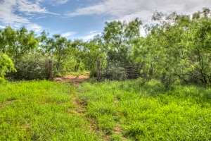 4124 E Hwy 158 (18)
