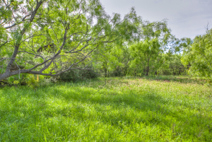 4124 E Hwy 158 (20)