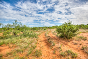 4124 E Hwy 158 (26)