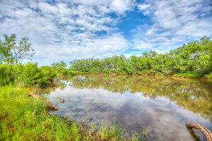 4124 E Hwy 158 (27)