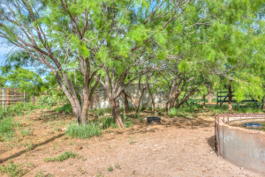 4124 E Hwy 158 (31)