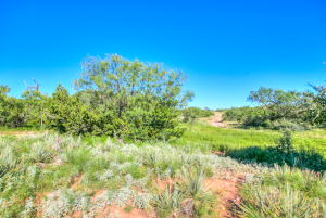 155055 Hwy 208 (60)