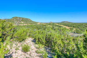 155055 Hwy 208 (64)