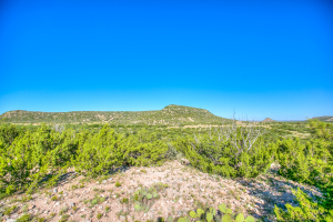 155055 Hwy 208 (66)