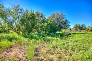 155055 Hwy 208 (72)