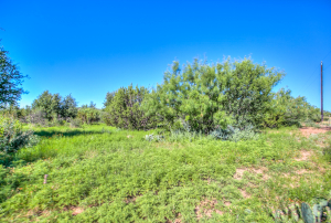 155055 Hwy 208 (73)