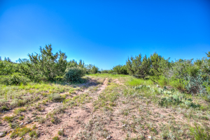 155055 Hwy 208 (77)