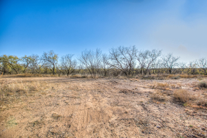 11069 County Road 1445 (4)