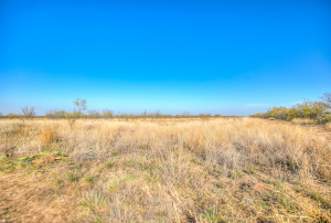 11069 County Road 1445 (6)