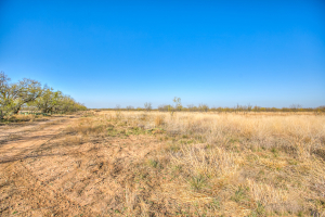 11069 County Road 1445 (8)