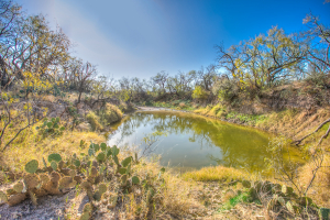 11069 County Road 1445 (9)