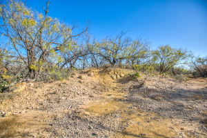 11069 County Road 1445 (10)