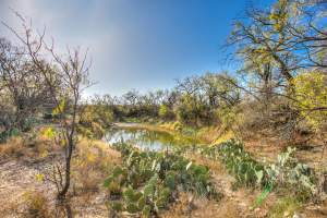 11069 County Road 1445 (11)