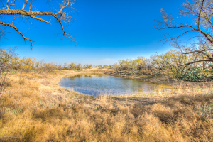 11069 County Road 1445 (13)