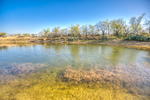 11069 County Road 1445 (2)