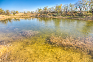 11069 County Road 1445 (15)